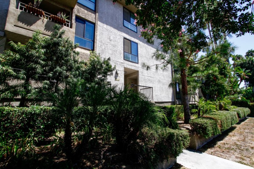 Colfax Meadows Condos, Lofts & Townhomes For Sale Colfax Meadows Real