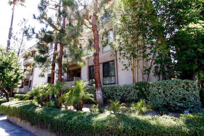 Colfax Meadows Condos, Lofts & Townhomes For Sale Colfax Meadows Real