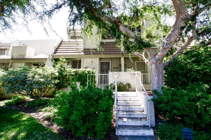 Studio Village Condos, Lofts & Townhomes For Sale Studio Village Real