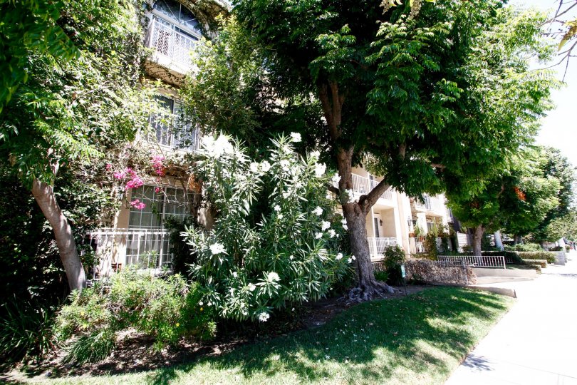 Villas at Moorpark Condos, Lofts & Townhomes For Sale Villas at