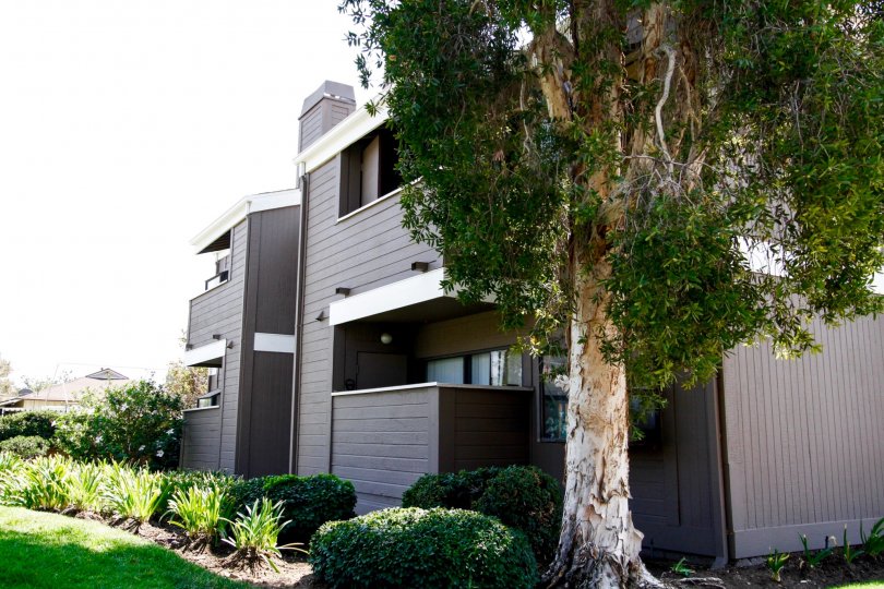 Heartland Village Condos, Lofts & Townhomes For Sale Heartland