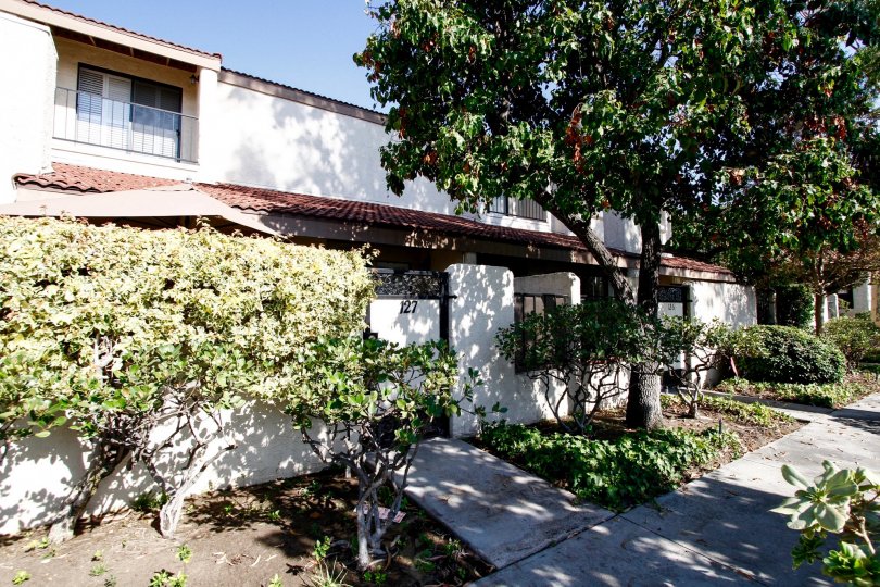 Encino Village Condos, Lofts & Townhomes For Sale Encino Village Real