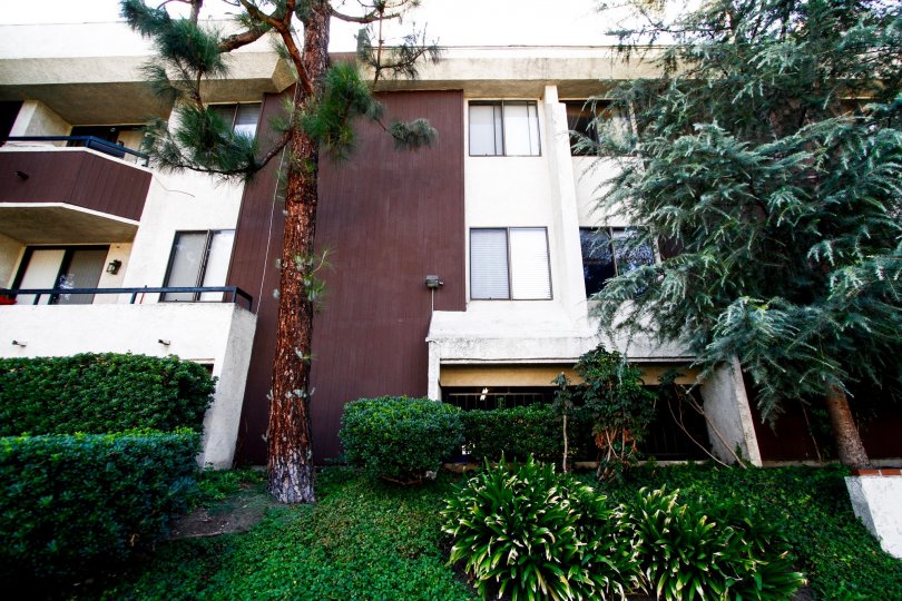 Reseda Victory Condos, Lofts & Townhomes For Sale Reseda Victory Real