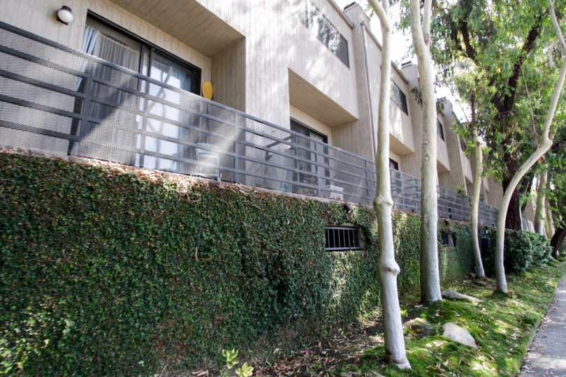 2500 Abbot Kinney Condos, Lofts & Townhomes For Sale 2500 Abbot