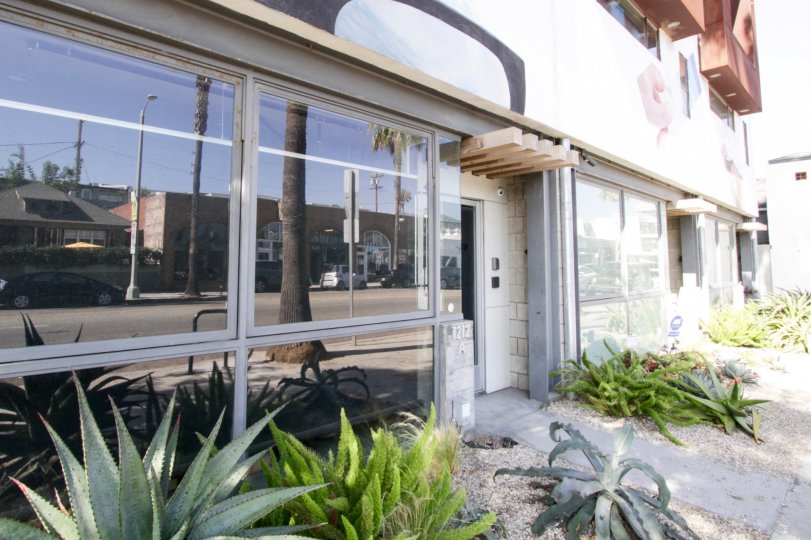 Abbot Kinney Lofts Condos, Lofts & Townhomes For Sale Abbot Kinney