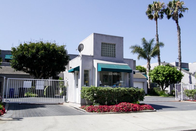 Del Rey Colony Condos, Lofts & Townhomes For Sale Del Rey Colony Real