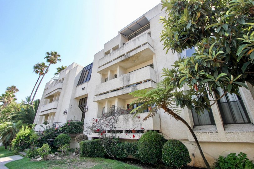 Brockton Plaza Condos, Lofts & Townhomes For Sale Brockton Plaza Real