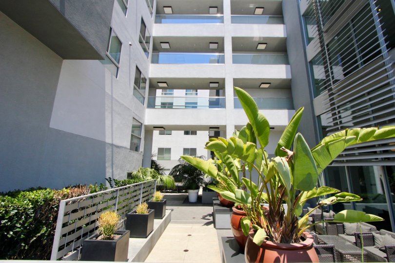 St Johns Wood Condos, Lofts & Townhomes For Sale St Johns Wood Real