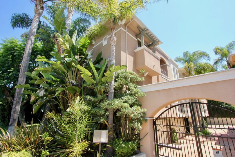 Terra Vita on Barrington Condos, Lofts & Townhomes For Sale Terra