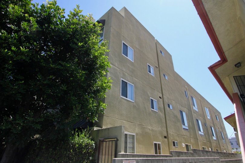 The Pines Condos, Lofts & Townhomes For Sale The Pines Real Estate