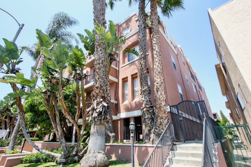 Villa Rose Condos, Lofts & Townhomes For Sale Villa Rose Real Estate