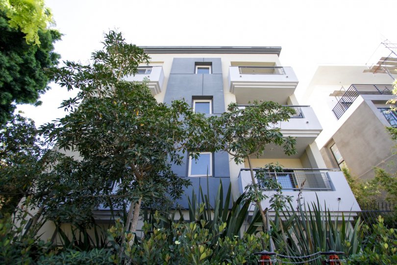 Westgate Flats Condos, Lofts & Townhomes For Sale Westgate Flats Real