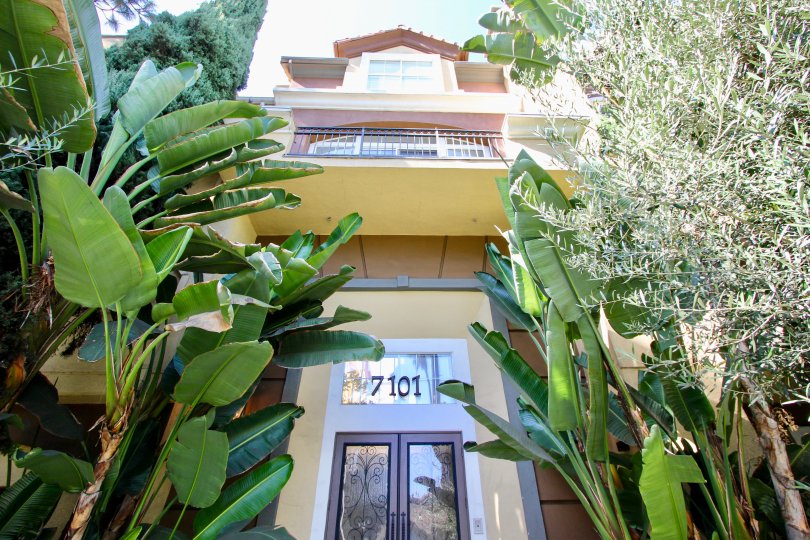 Amalfi Villas Condos, Lofts & Townhomes For Sale Amalfi Villas Real