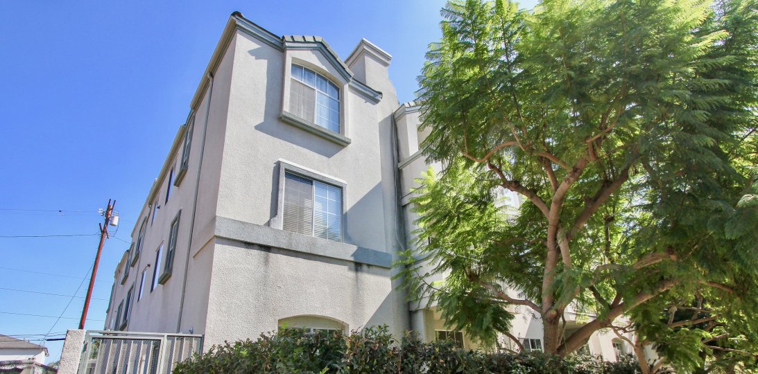 Knowlton Place Condos, Lofts & Townhomes For Sale Knowlton Place Real