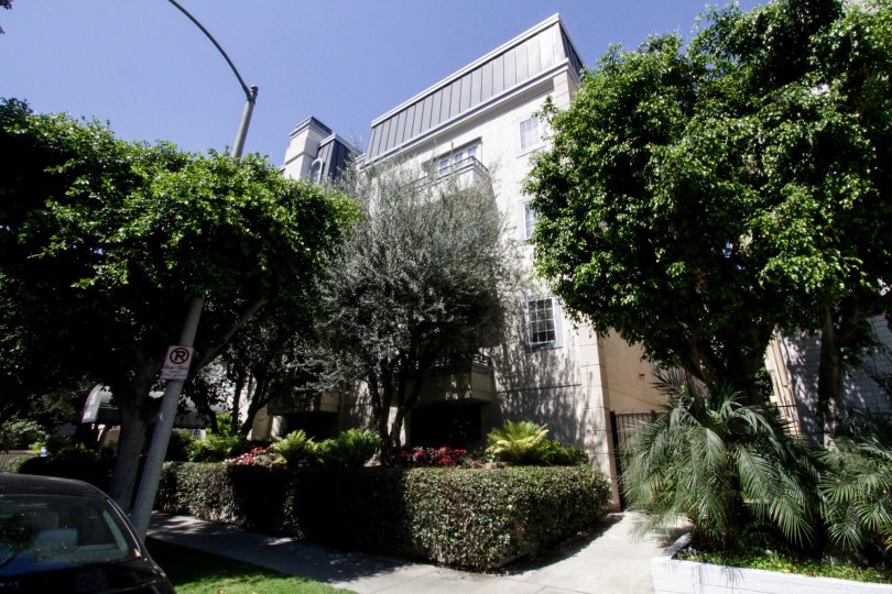 Le Chateau of Westwood Condos, Lofts & Townhomes For Sale Le Chateau