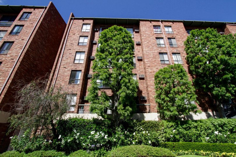 The Colony at Westwood Condos, Lofts & Townhomes For Sale The Colony