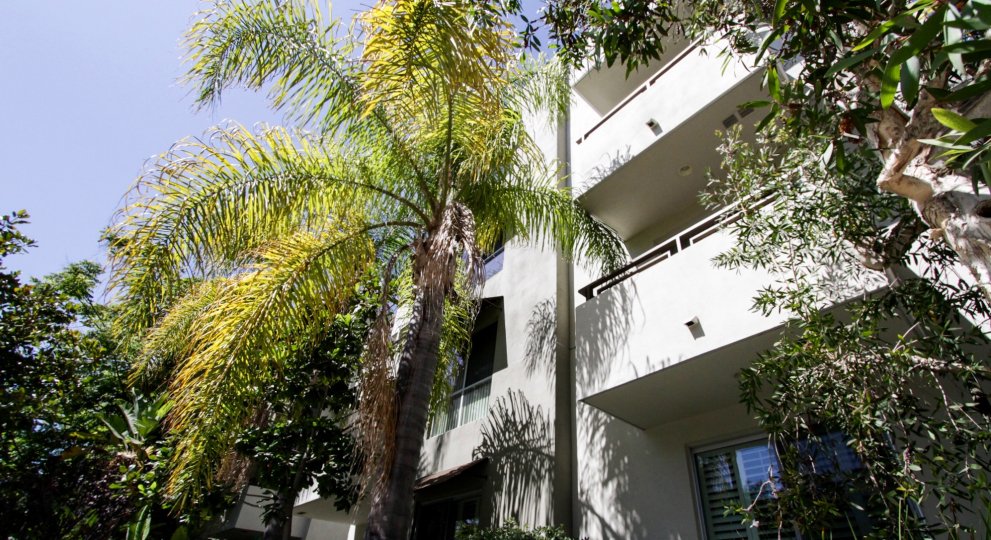 Village Glen Condos, Lofts & Townhomes For Sale Village Glen Real