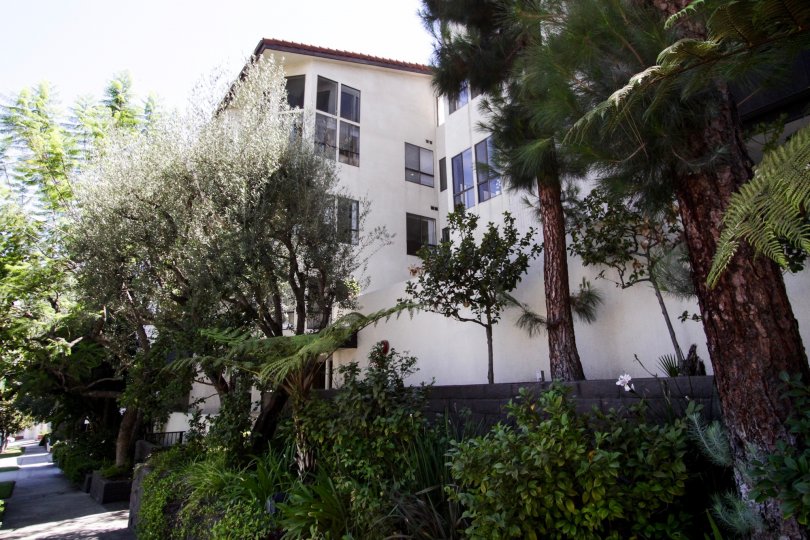 Wilshire Lencrest Condos, Lofts & Townhomes For Sale Wilshire