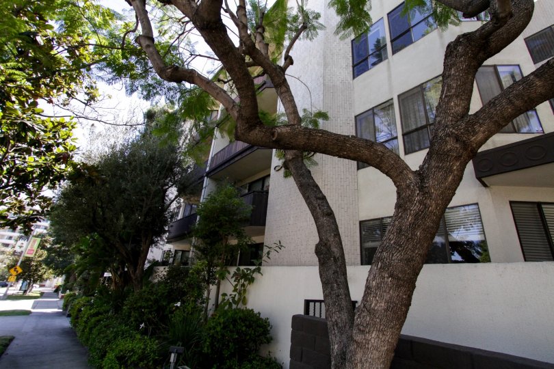 Wilshire Lencrest Condos, Lofts & Townhomes For Sale Wilshire