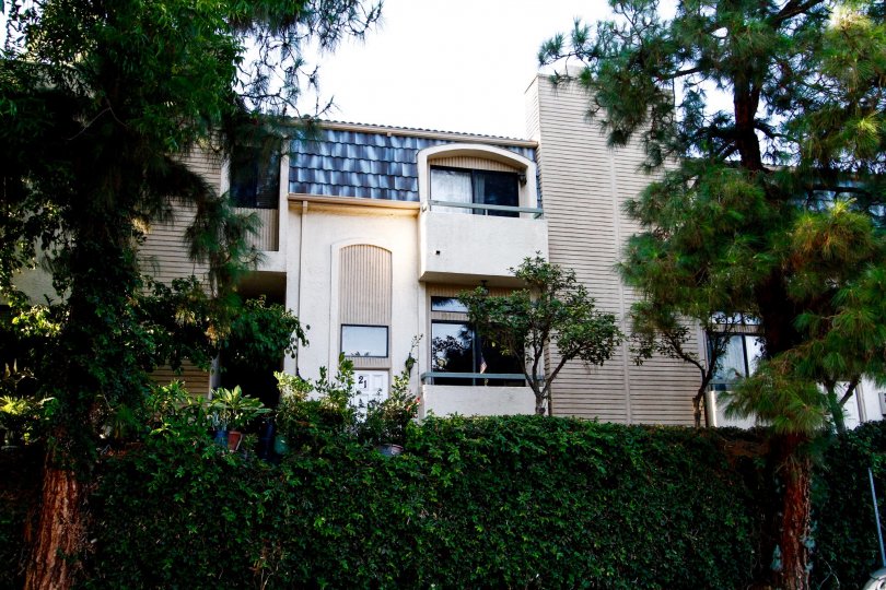 Kelvin Court Condos, Lofts & Townhomes For Sale Kelvin Court Real