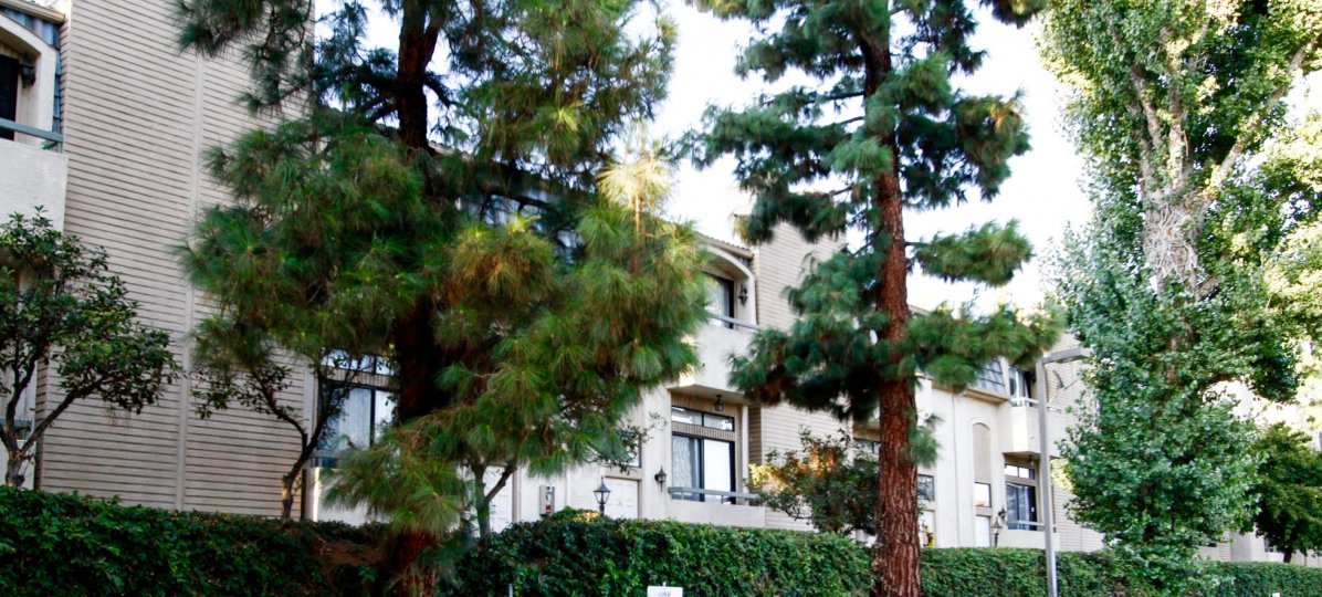 Kelvin Court Condos, Lofts & Townhomes For Sale Kelvin Court Real