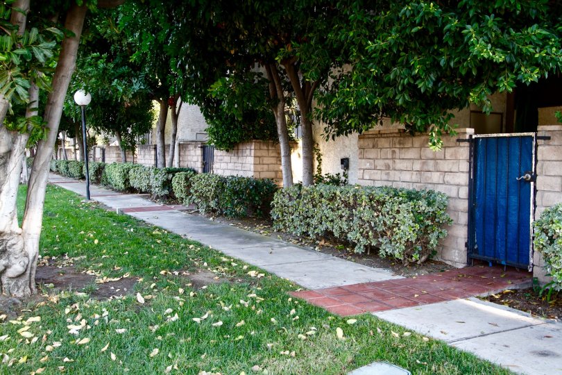 Sherman Court Condos, Lofts & Townhomes For Sale Sherman Court Real