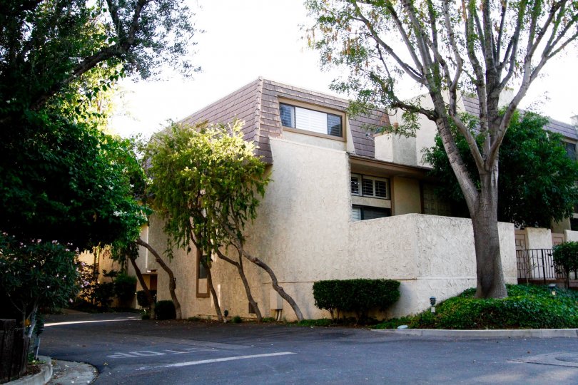 Dove Creek Condos, Lofts & Townhomes For Sale Dove Creek Real Estate