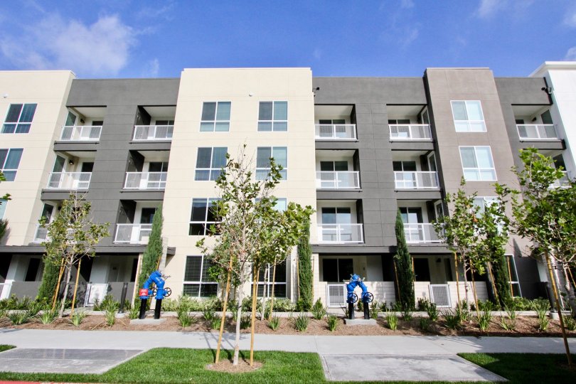 City Walk Condos, Lofts & Townhomes For Sale City Walk Real Estate