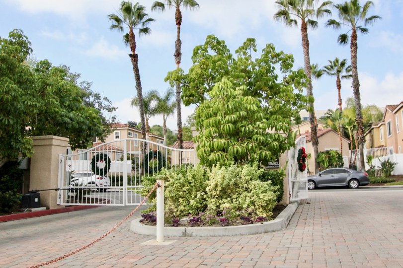 Flores Los Alisos Condos, Lofts & Townhomes For Sale Flores Los