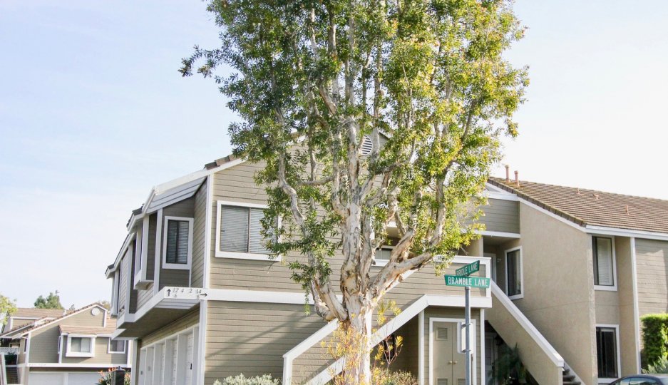 Heather Ridge Condos, Lofts & Townhomes For Sale Heather Ridge Real