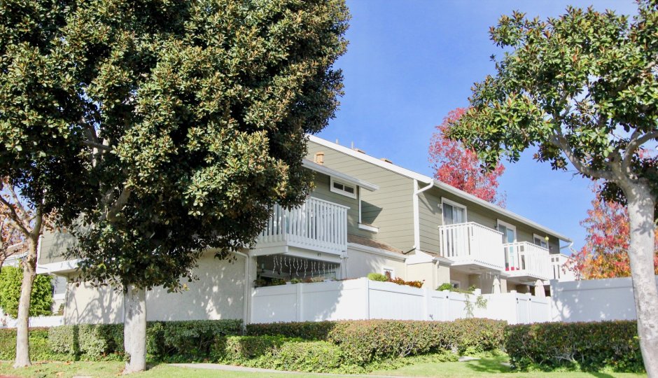 Morningside Condos, Lofts & Townhomes For Sale Morningside Real