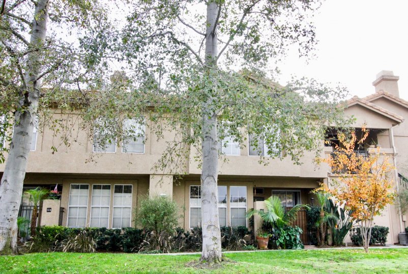 Seacove Place Condos, Lofts & Townhomes For Sale Seacove Place Real