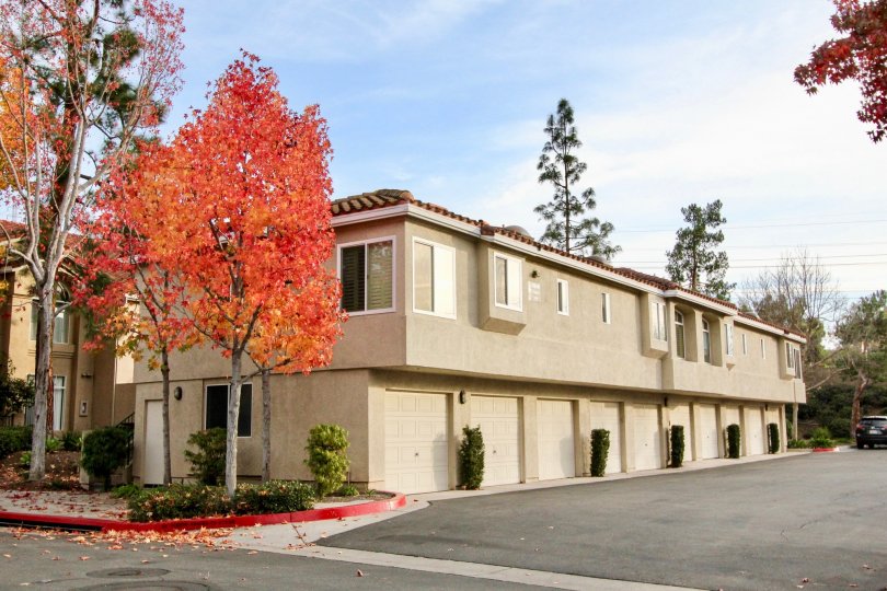 Seagate Colony Condos, Lofts & Townhomes For Sale Seagate Colony Real