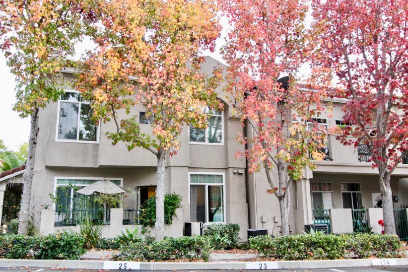 Seagate Colony Condos, Lofts & Townhomes For Sale Seagate Colony Real
