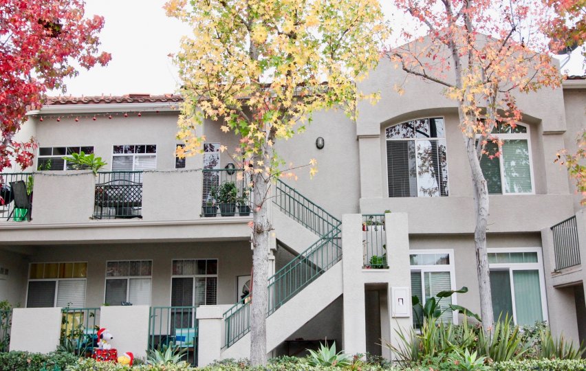 Seagate Colony Condos, Lofts & Townhomes For Sale Seagate Colony Real