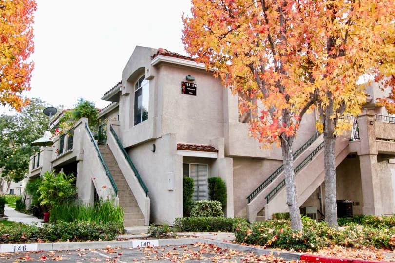 Seagate Colony Condos, Lofts & Townhomes For Sale Seagate Colony Real