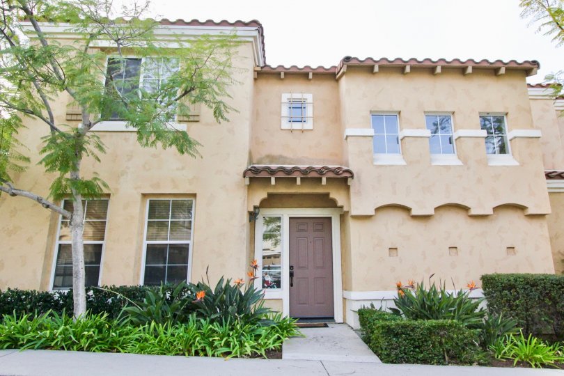 Vista De Oro Condos, Lofts & Townhomes For Sale Vista De Oro Real