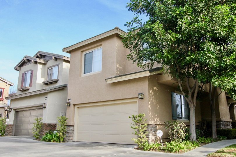 Vista Heights Condos, Lofts & Townhomes For Sale Vista Heights Real