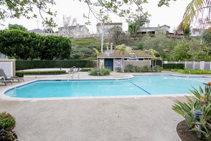 Canyon Pointe Condos, Lofts & Townhomes For Sale Canyon Pointe Real