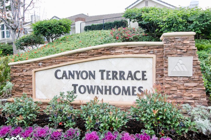 Canyon Terrace Townhomes Condos, Lofts & Townhomes For Sale Canyon