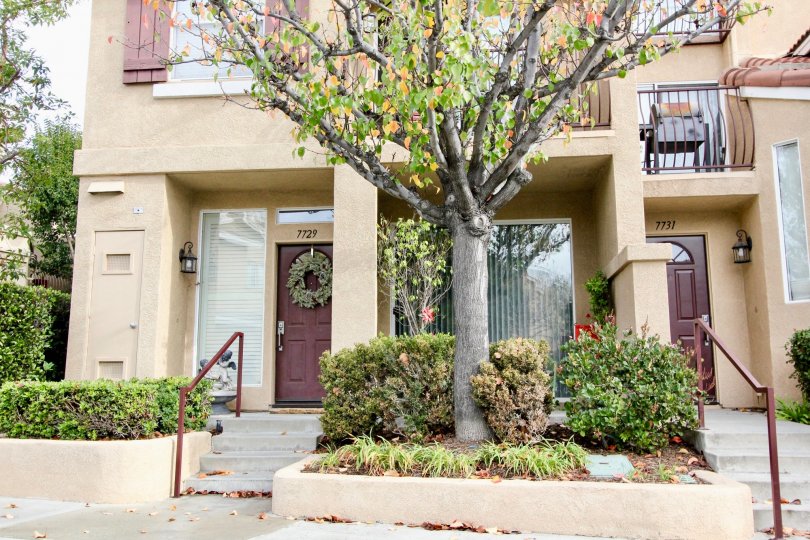 Monaco Condos, Lofts & Townhomes For Sale Monaco Real Estate Monaco