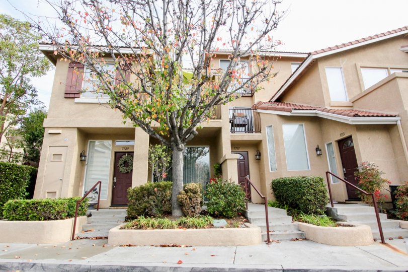 Monaco Condos, Lofts & Townhomes For Sale Monaco Real Estate Monaco