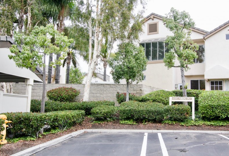 Summit Court Condos, Lofts & Townhomes For Sale Summit Court Real