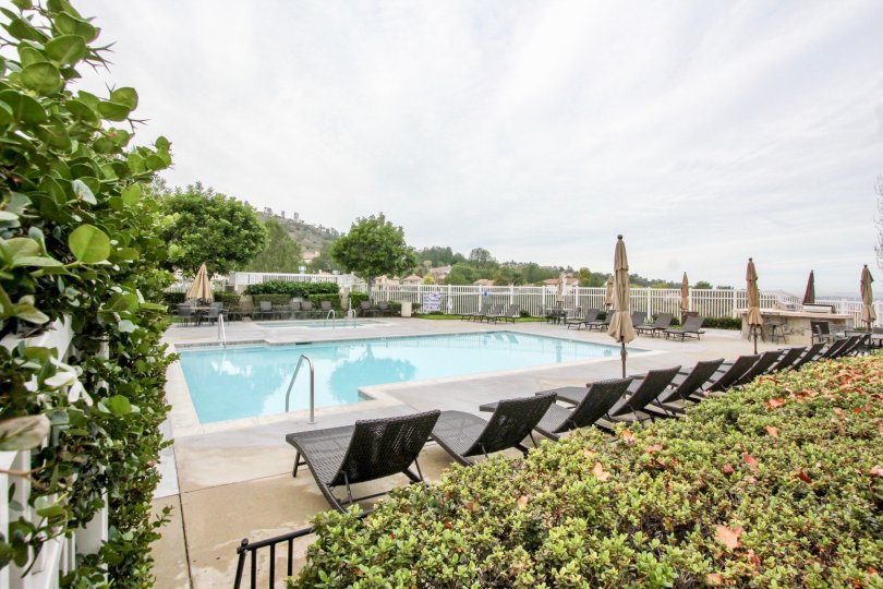 Summit Court Condos, Lofts & Townhomes For Sale Summit Court Real