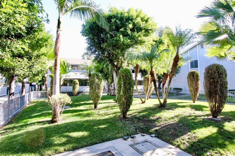 Brookhurst Village Condos, Lofts & Townhomes For Sale Brookhurst