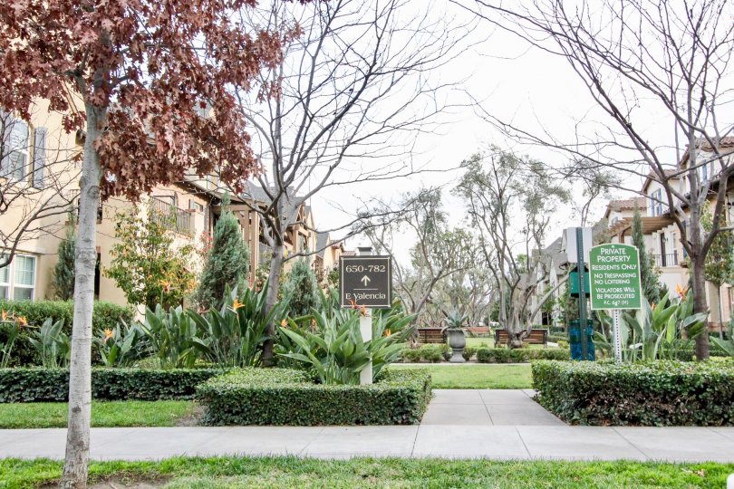 Colony Park Condos, Lofts & Townhomes For Sale Colony Park Real