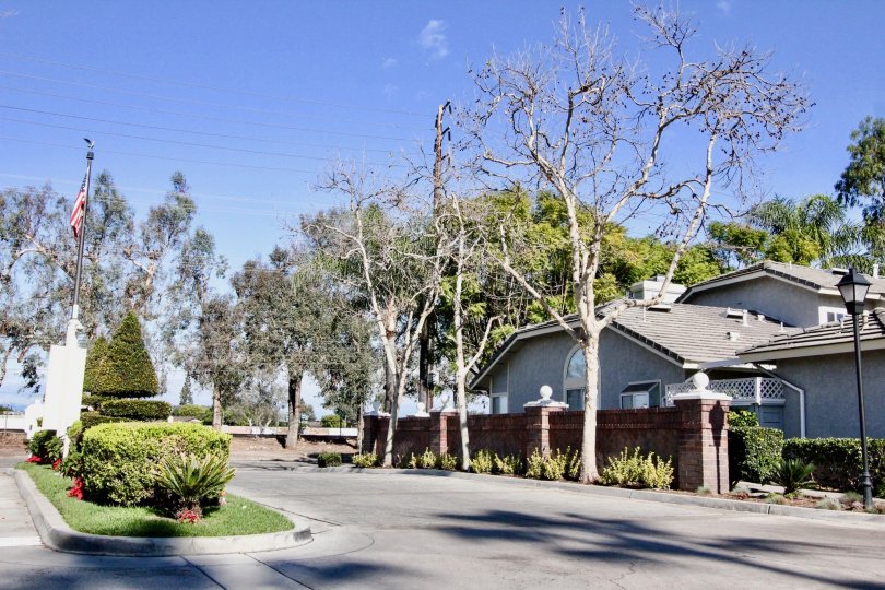 Peppertree Walk Condos, Lofts & Townhomes For Sale Peppertree Walk