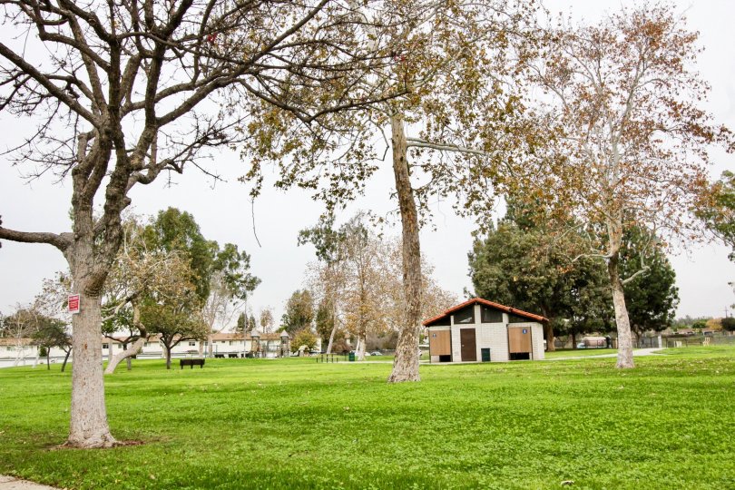 Cameron Park Condos, Lofts & Townhomes For Sale Cameron Park Real