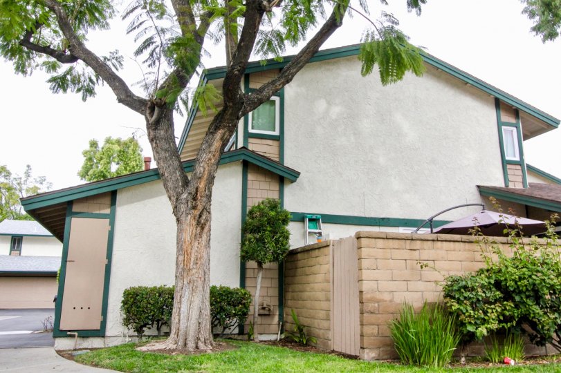 Cameron Park Condos, Lofts & Townhomes For Sale Cameron Park Real