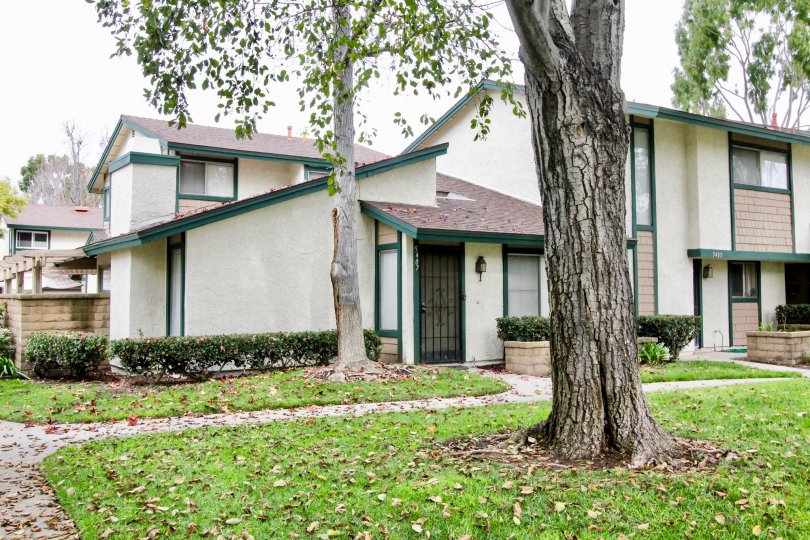 Cameron Park Condos, Lofts & Townhomes For Sale Cameron Park Real